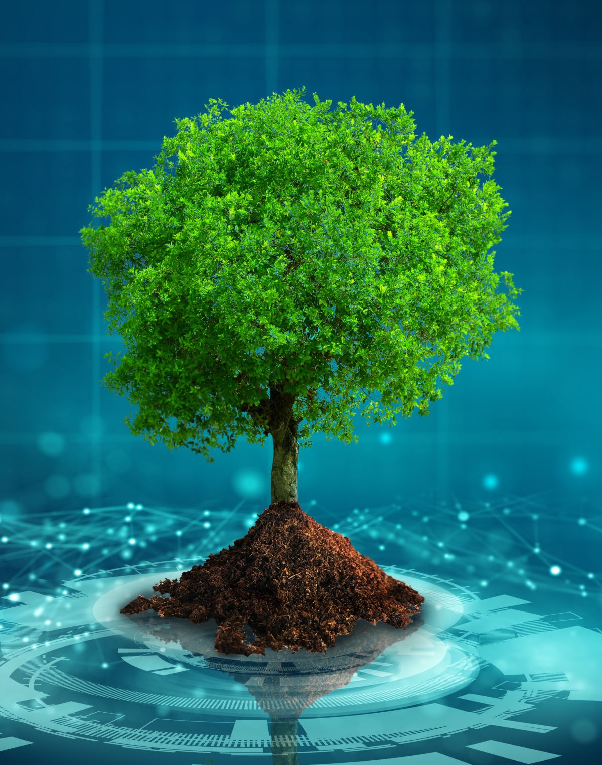 Le num&eacute;rique &eacute;co-responsable, c'est possible avec CLO2 !