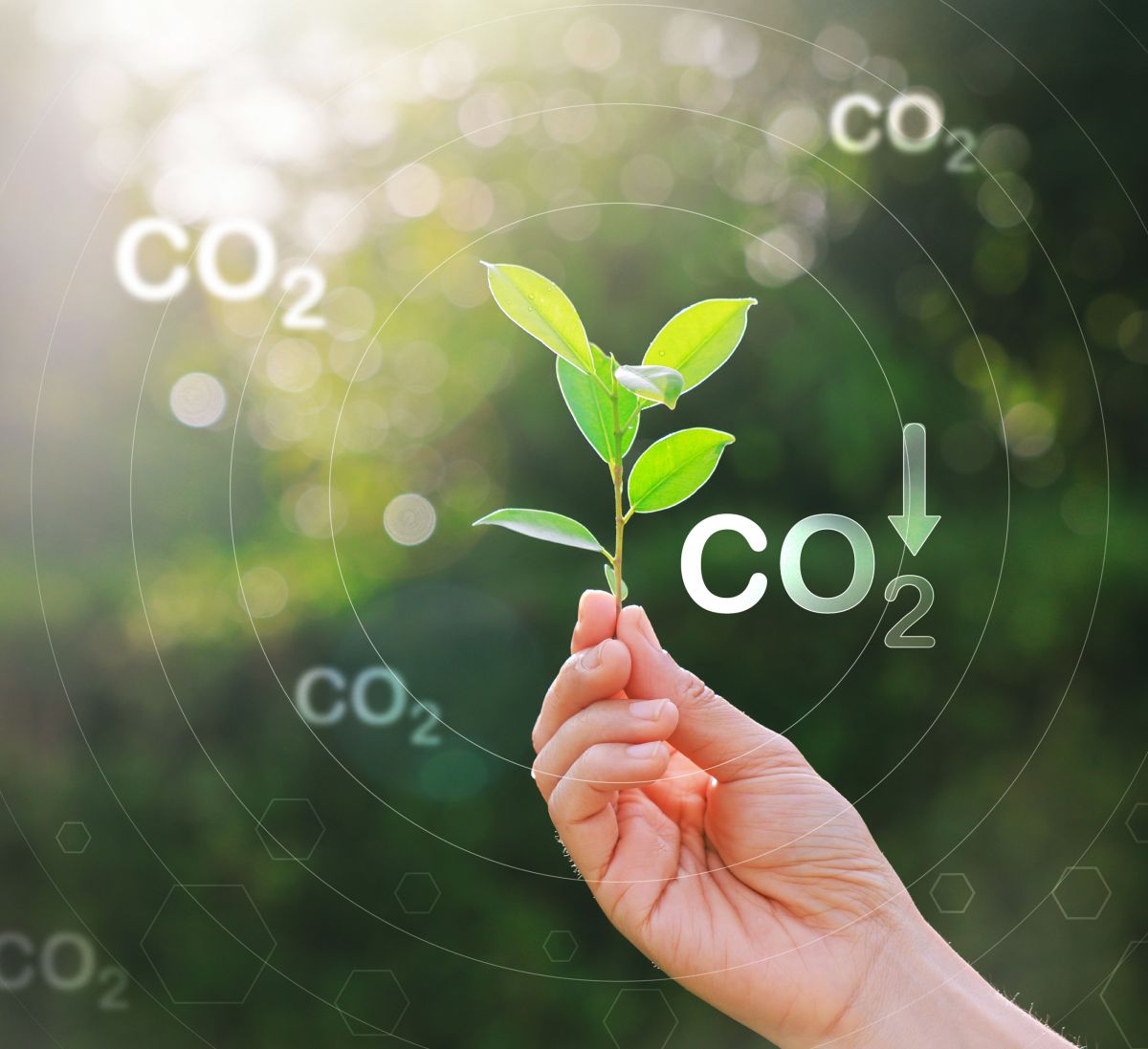 Quelle d&eacute;marche &eacute;coresponsable pour r&eacute;duire l'empreinte carbone des serveurs web ?